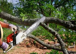 Soil Testing and Treatment in Williston Park, NY